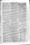 Isle of Wight Mercury Saturday 12 April 1856 Page 9