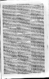 Isle of Wight Mercury Saturday 31 May 1856 Page 9