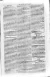 Isle of Wight Mercury Saturday 26 July 1856 Page 7