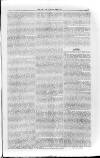 Isle of Wight Mercury Saturday 29 November 1856 Page 5