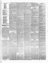 Torquay Times, and South Devon Advertiser Saturday 03 November 1877 Page 3