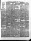 Torquay Times, and South Devon Advertiser Saturday 30 March 1878 Page 3