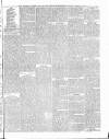 Torquay Times, and South Devon Advertiser Friday 08 April 1881 Page 3