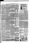 Montrose Review Friday 03 May 1895 Page 3