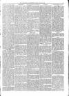 Portobello Advertiser Friday 23 May 1890 Page 5
