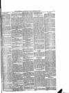 Portobello Advertiser Friday 15 February 1895 Page 5