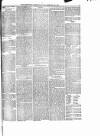 Portobello Advertiser Friday 22 February 1895 Page 5