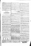 The Irishman Saturday 29 October 1864 Page 11