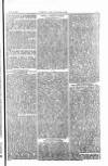 The Irishman Saturday 20 May 1865 Page 7