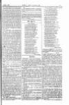 The Irishman Saturday 05 August 1865 Page 11