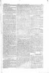 The Irishman Saturday 30 December 1865 Page 17