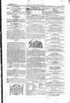 The Irishman Saturday 30 December 1865 Page 21