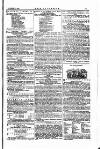 The Irishman Saturday 17 November 1866 Page 15