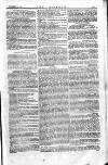 The Irishman Saturday 22 December 1866 Page 13