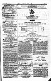 The Irishman Saturday 07 May 1870 Page 15