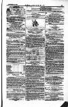 The Irishman Saturday 24 December 1870 Page 17