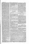 The Irishman Saturday 18 March 1871 Page 5