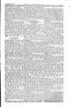 The Irishman Saturday 18 March 1871 Page 9