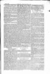 The Irishman Saturday 08 July 1871 Page 13