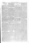 The Irishman Saturday 03 August 1872 Page 5