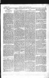 The Irishman Saturday 17 August 1872 Page 3