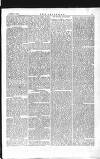 The Irishman Saturday 17 August 1872 Page 5