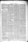 The Irishman Saturday 11 January 1873 Page 5