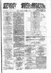 The Irishman Saturday 29 November 1873 Page 1