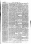 The Irishman Saturday 29 November 1873 Page 5