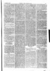 The Irishman Saturday 29 November 1873 Page 11