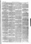 The Irishman Saturday 29 November 1873 Page 13