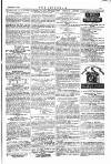The Irishman Saturday 09 January 1875 Page 15