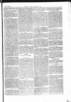 The Irishman Saturday 31 July 1875 Page 13