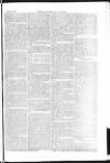 The Irishman Saturday 07 August 1875 Page 19