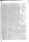 The Irishman Saturday 20 November 1875 Page 5