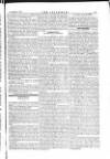 The Irishman Saturday 20 November 1875 Page 11