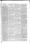 The Irishman Saturday 20 November 1875 Page 15