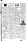 The Irishman Saturday 20 November 1875 Page 17