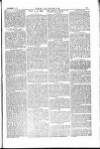 The Irishman Saturday 04 December 1875 Page 13