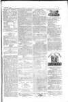 The Irishman Saturday 04 December 1875 Page 15