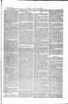 The Irishman Saturday 05 October 1878 Page 3