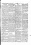 The Irishman Saturday 08 January 1876 Page 5