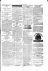 The Irishman Saturday 08 January 1876 Page 15