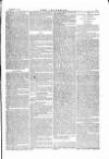 The Irishman Saturday 15 January 1876 Page 5