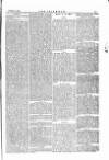 The Irishman Saturday 15 January 1876 Page 13