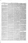 The Irishman Saturday 22 January 1876 Page 3