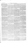 The Irishman Saturday 22 January 1876 Page 13