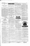 The Irishman Saturday 22 January 1876 Page 15