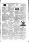 The Irishman Saturday 11 March 1876 Page 15