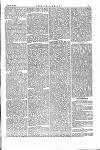The Irishman Saturday 25 March 1876 Page 13
